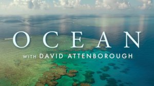 Океан с Дэвидом Аттенборо (2025) / Ocean with David Attenborough