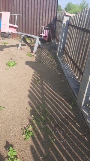 обзор на площадку