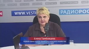 Горячая битва cтавропольских хлеборобов за урожай в жаркие дни