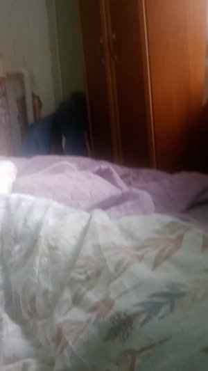 Обьяснения почему нет видео