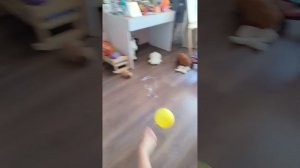 жизнь Насти и ашотика