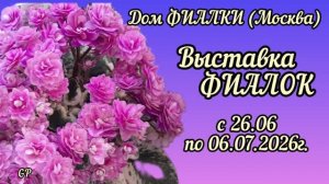 ФИАЛКИ - 2026. Выставка в московском Доме Фиалки (Московские коллекционеры. Московская фиалка).