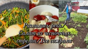 Разлилась река/Салат из чесночных стрелок/Все сожрали