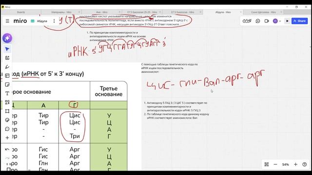 Биосинтез белка. Задачи. 2-ая часть