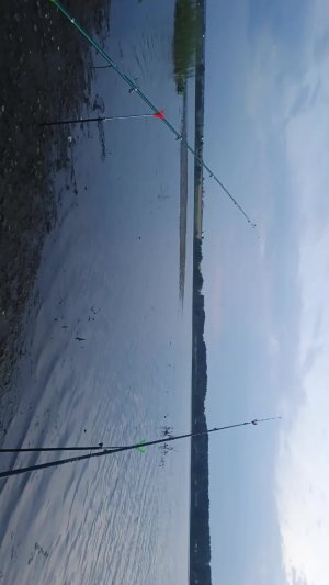 на рыбалке 🎣