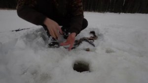 НОЧЁВКА В СТАРОЙ ПРОГНИВШЕЙ ИЗБЕ. ЖУТКИЕ ЗВУКИ. ДОБЫЛ УЖИН.