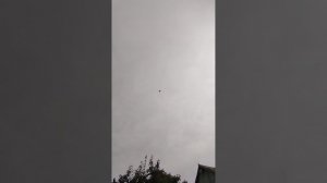 г.Мариуполь обзор моих молодых для друзей 25.07.2025год