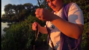 Рыбалка на донку ловим карася и карпа.