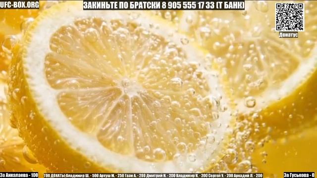 Сайгид Изагахмаев vs Абубакар Вагаев бой ЮФС Абу-Даби смотреть онлайн