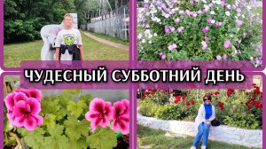 25-07-2026 Готовлю вафли и быстрый суп😋 Ушли гулять в парк👍 Танцы со «звездой»😁Говорящий ворон🐦