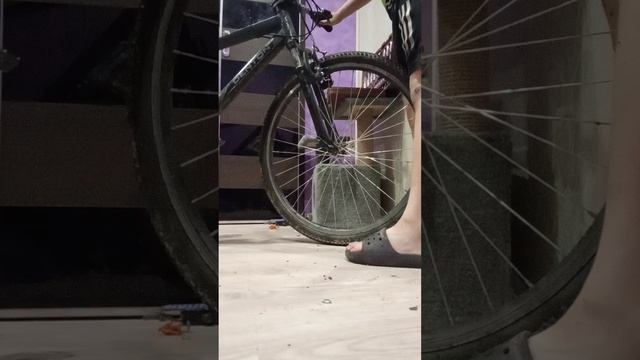 1000001490.mp4 смотреть онлайн