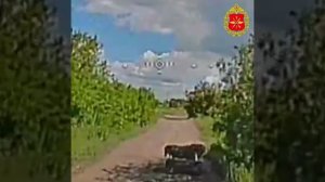 Поражение техники ВСУ на Краматорском направлении