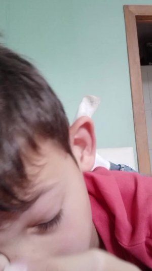 бр бр патапим