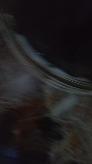 Huyu