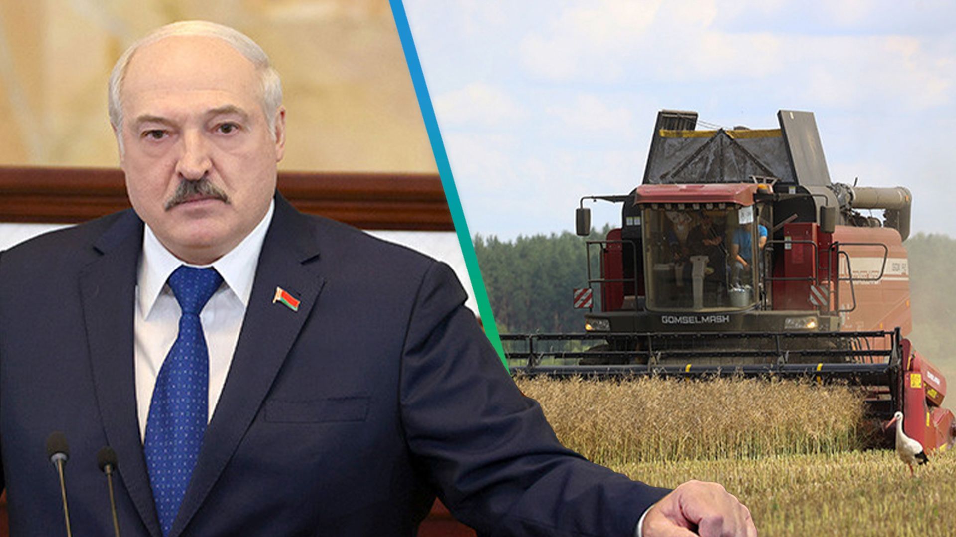 Лукашенко потребовал усилить работу в полях: белорусские аграрии перешли на усиленный режим работы смотреть онлайн