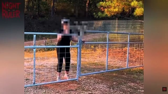 8 пугающих реальных встреч с паранормальными существами, снятых на камеру смотреть онлайн