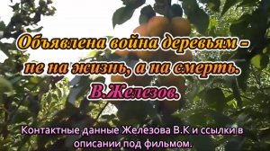 Объявлена война деревьям - не на жизнь, а на смерть. В.Железов.