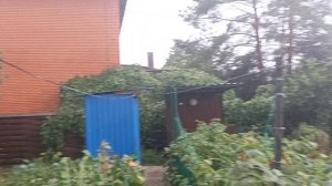 ПОСЛЕ УРАГАНА НА ДАЧЕ В РОСТОВЕ НА ДОНУ 25 ИЮЛЯ 2026 Г.