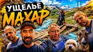 💥Красивейшая природа под ⚡высоковольтными проводами🚎