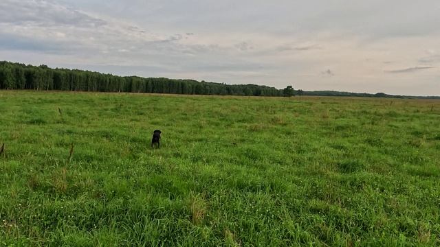 дуп1_250726 смотреть онлайн