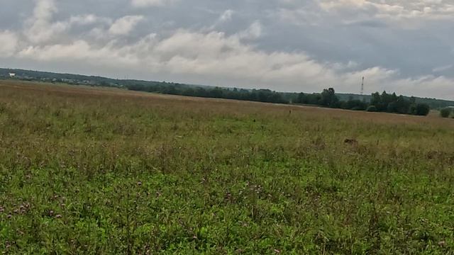 дуп_2_250726 смотреть онлайн