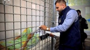 ‼️🇺🇦☠️Пораженную под Киевом выставку организовали нацисты: руководство задержано

▪️Офис генпрокур