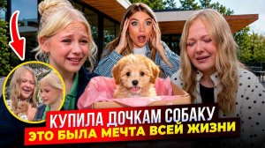 КУПИЛА ДОЧКАМ СОБАКУ ! ЭТО БЫЛА МЕЧТА ВСЕЙ ЖИЗНИ !