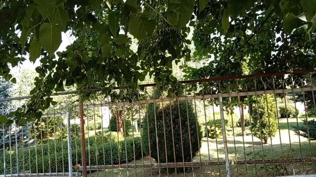 Сходили в церковь помянули отца, дедушку! Юг России 🇷🇺🌴😞 смотреть онлайн