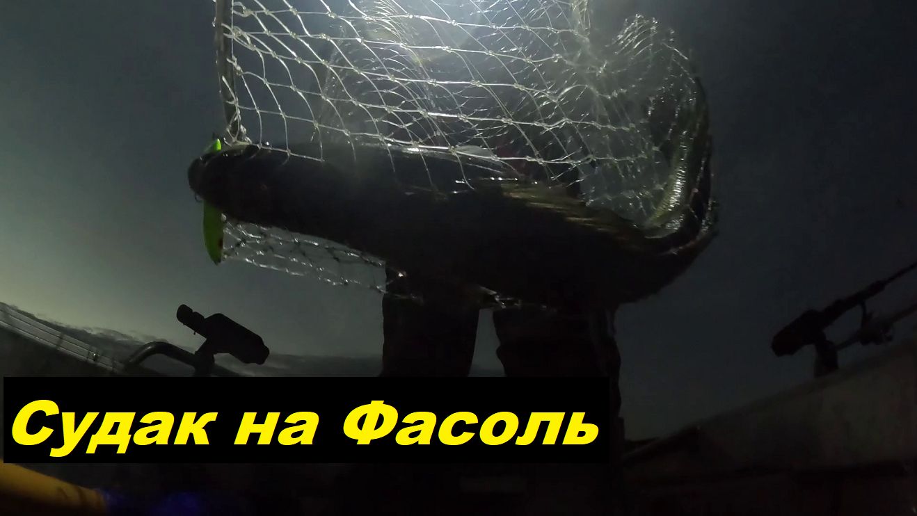 Судак на Фасоль смотреть онлайн