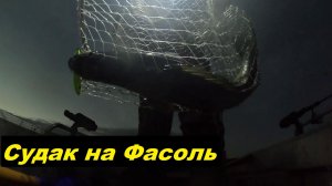 Судак на Фасоль