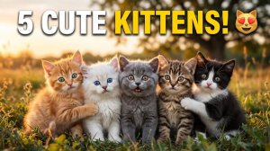 🐱Удивительные приключения 5 милых котят 😻#Трогательная история дружбы #Кошки #Котята