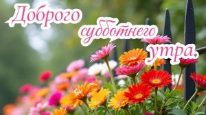 Доброе субботнее утро.! Красивая музыкальная открытка.