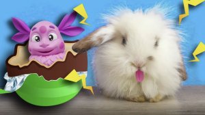 КРОЛИК НОЛИК открывает ЯЙЦА СЮРПРИЗ Собираем коллекцию игрушек Лунтик