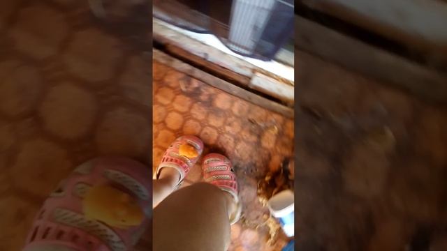 Мультик кабибариный истории