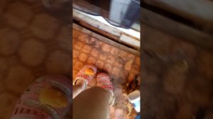 Мультик кабибариный истории