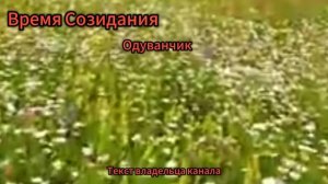 Одуванчик в стиле джаз