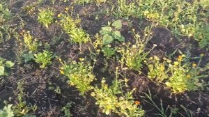Влог 31. Обо всем понемногу. Едем домой. Провели дочь в Москву.