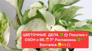 ЦВЕТОЧНЫЕ ДЕЛА.🌸🍀 ПОКУПКИ С ОЗОН и ВБ.💖🌷РАСПАКОВКА. 🍀БОЛТАЛКА.🌺🌳
