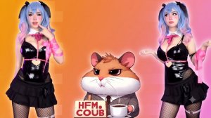 HFM COUB BEST CUBE Coub Приколы 2026 развлекательное шоу, коллекция видео со всего мира