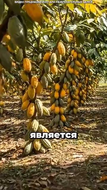 Это правда?