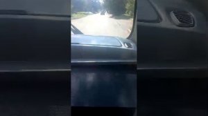 стрим автобусе