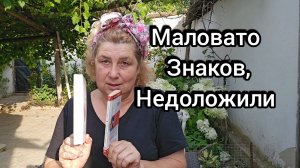 Москвичка из избушки,золотые кеды  и книги с пустыми полями