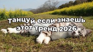 Танцуй если знаешь этот тренд 2026