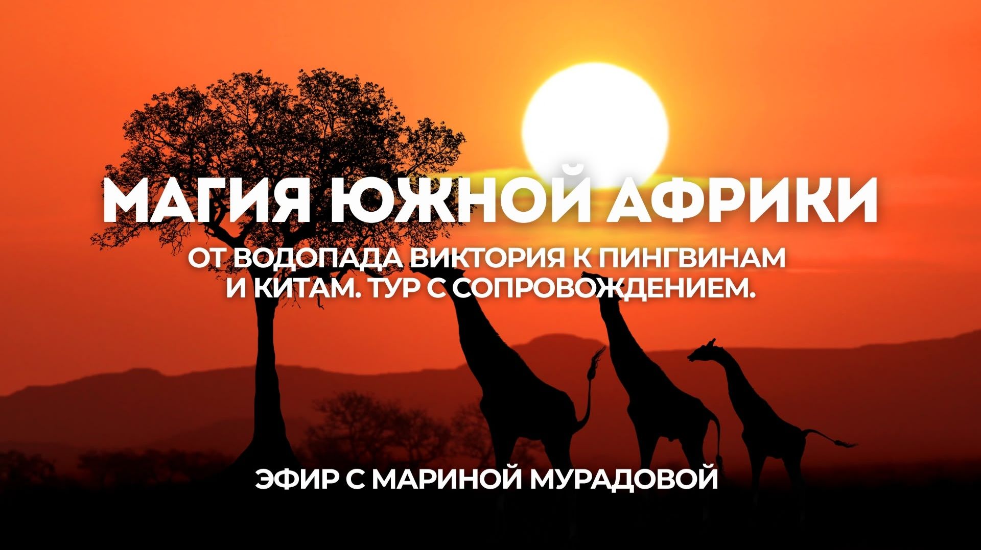 Магия Южной Африки. От водопада Виктория к пингвинам и китам. Тур с сопровождением