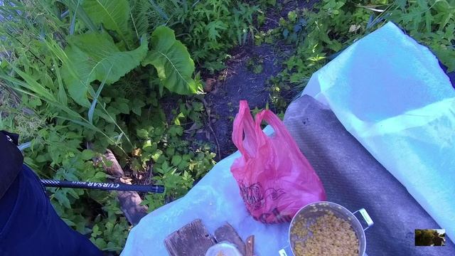 Рыбалка на пруду. 19.07.2026г. смотреть онлайн