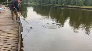 Утро на водоёме