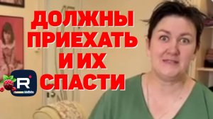 Должны приехать и их спасти /Деревенский дневник очень многодетной мамы Обзор