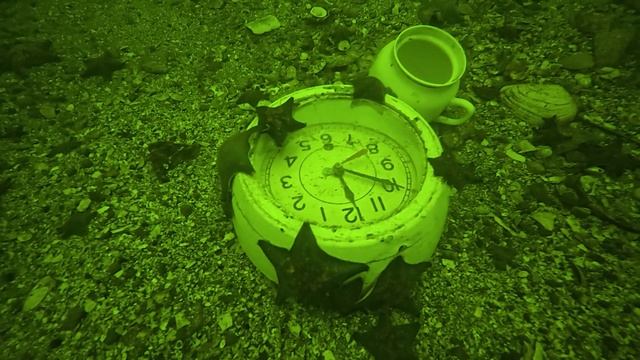 ГОЛОСА ЗАТОНУВШИХ КОРАБЛЕЙ