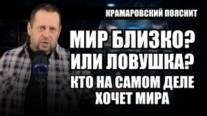 Мирные переговоры по Украине: почему они начались именно сейчас