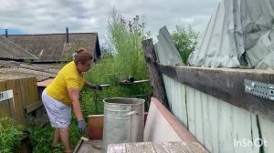 Верите ли вы в это Любовь на расстоянии